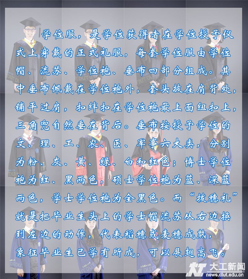 ͷױҵع龭ѧλҵ